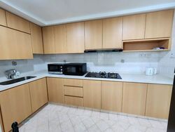 Dunman Place (D15), Apartment #502903911